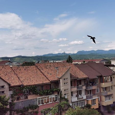 Apartament Carla-Maria Deva Bagian luar foto